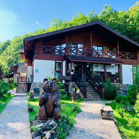 Chalet Vedmezhe Polyana (Transcarpathia) Exterior foto