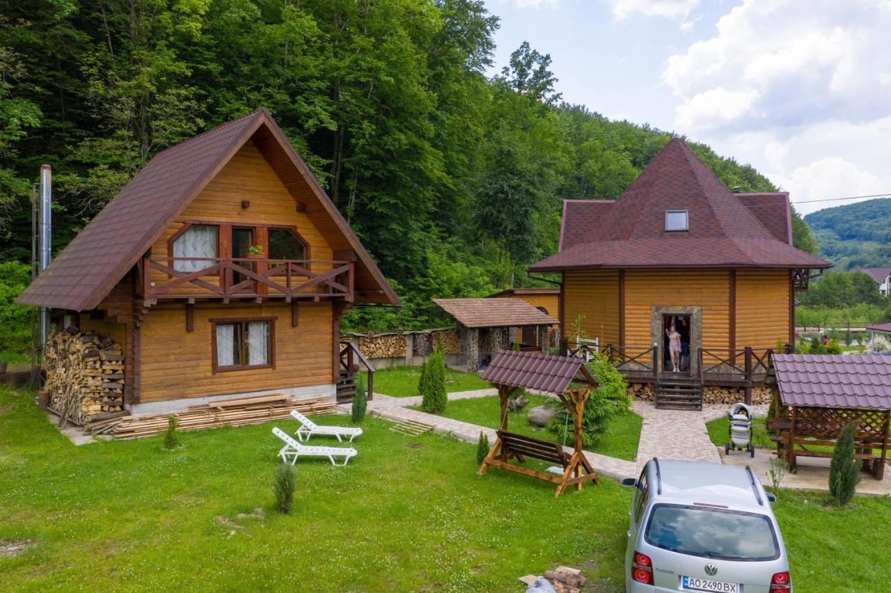 Chalet Vedmezhe Polyana (Transcarpathia) Exterior foto