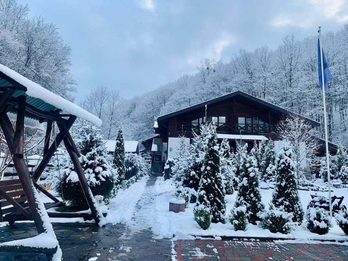 Chalet Vedmezhe Polyana (Transcarpathia) Exterior foto