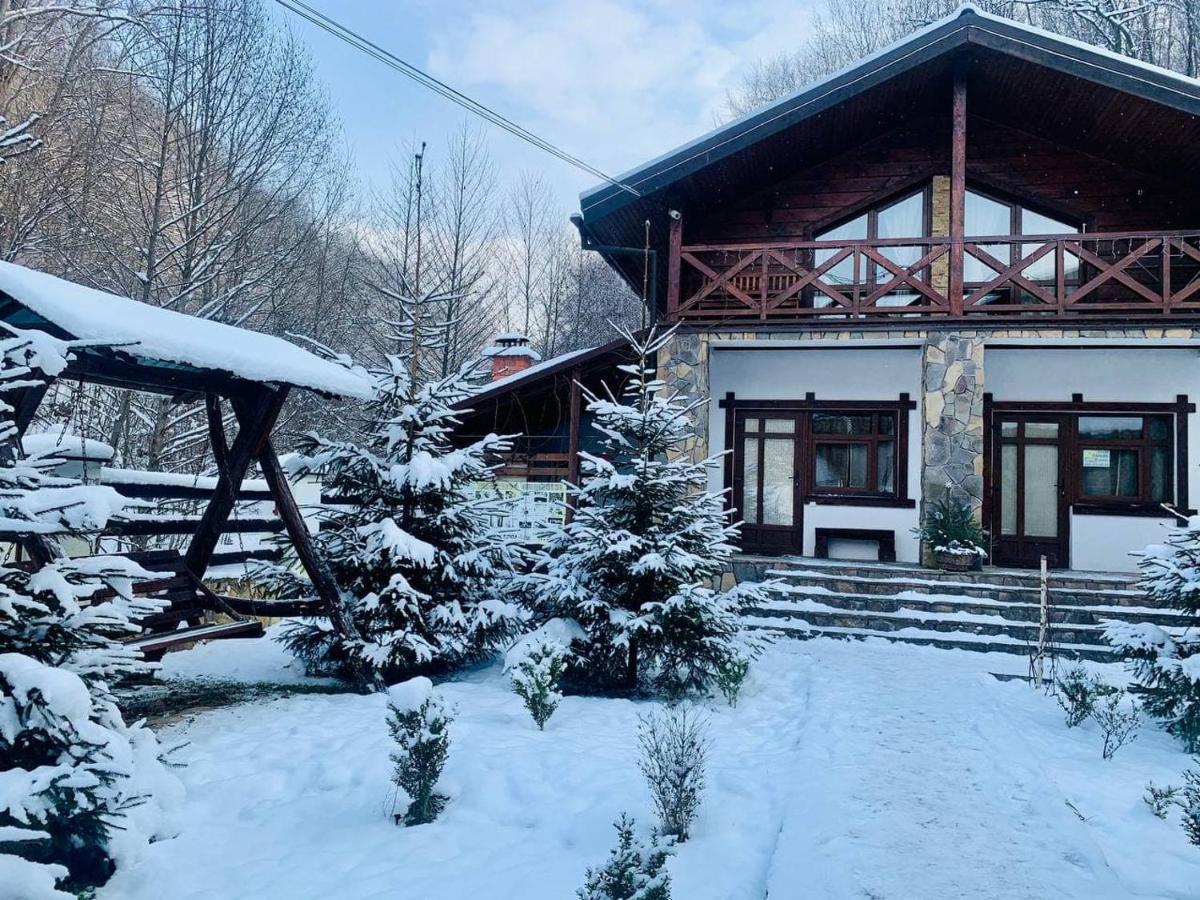 Chalet Vedmezhe Polyana (Transcarpathia) Exterior foto