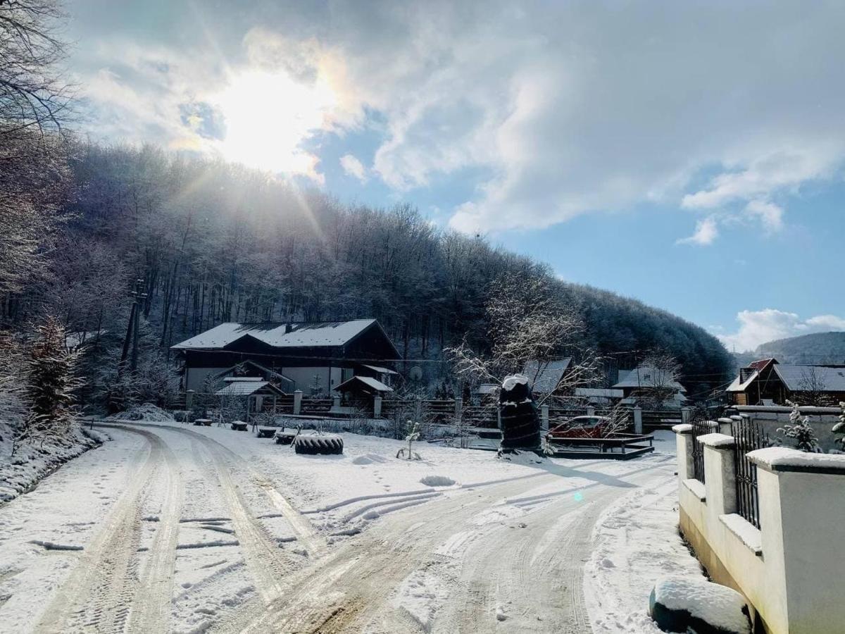 Chalet Vedmezhe Polyana (Transcarpathia) Exterior foto