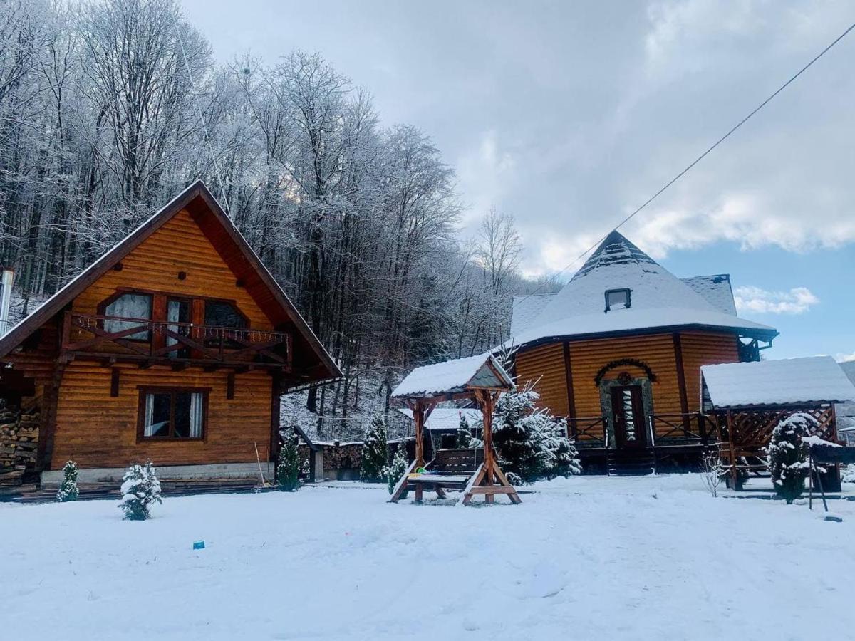 Chalet Vedmezhe Polyana (Transcarpathia) Exterior foto