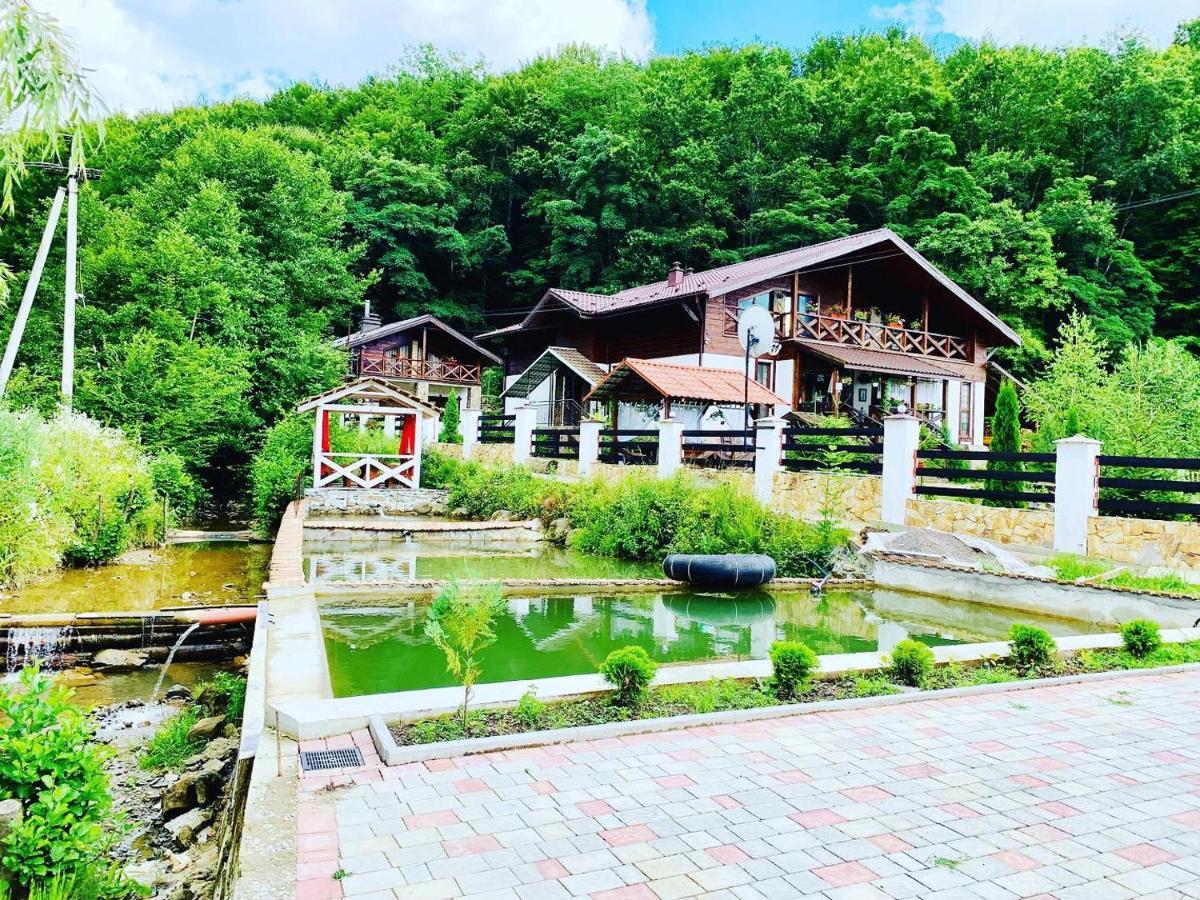 Chalet Vedmezhe Polyana (Transcarpathia) Exterior foto